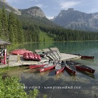 _7101407_DxO _raw_new