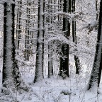 1570552